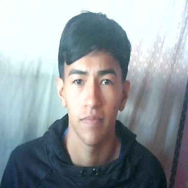 EFREN ALEJANDRO FLORES