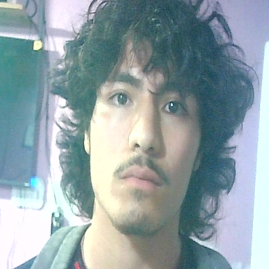 DANIEL MAYORGA ORTIZ