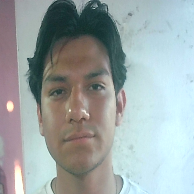 JOEL CERPEDES OCHOA