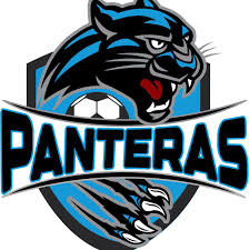 PANTERAS U14 DOMINGO