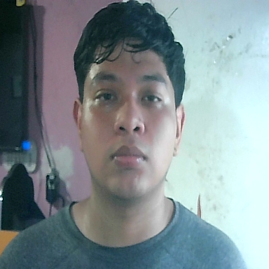 BRYAN SOTO LUNA