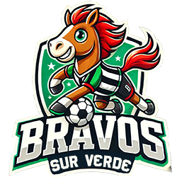 BRAVOS SUR VERDE U14