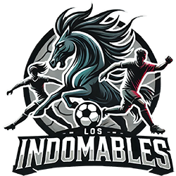 LOS INDOMABLES MIXTO