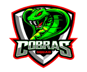 COBRAS U14 DOMINGO