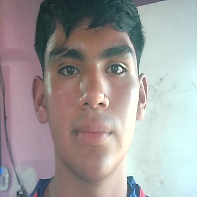 LUIS FERNANDO CASTRO ROMAN