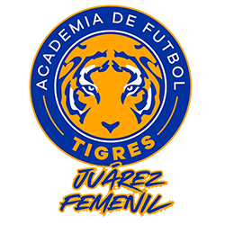 TIGRES JUAREZ AMARILLO
