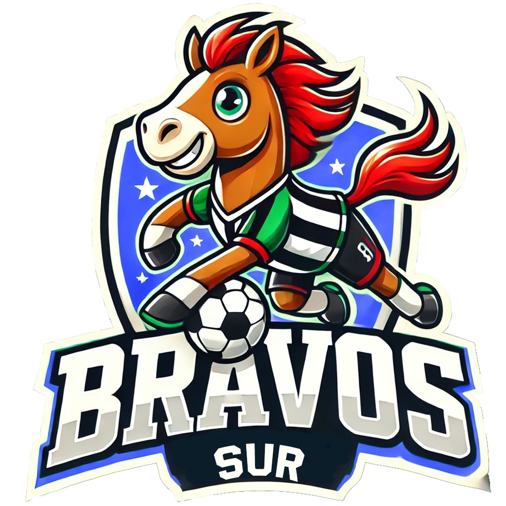 BRAVOS SUR U10
