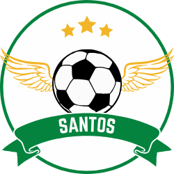 SANTOS MIXTO